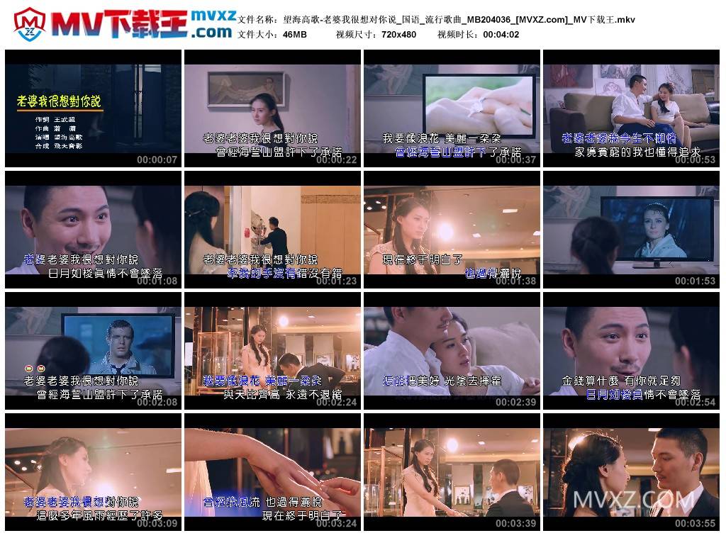 望海高歌-老婆我很想对你说_国语_流行歌曲_MB204036